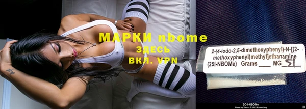 прущие грибы Алзамай